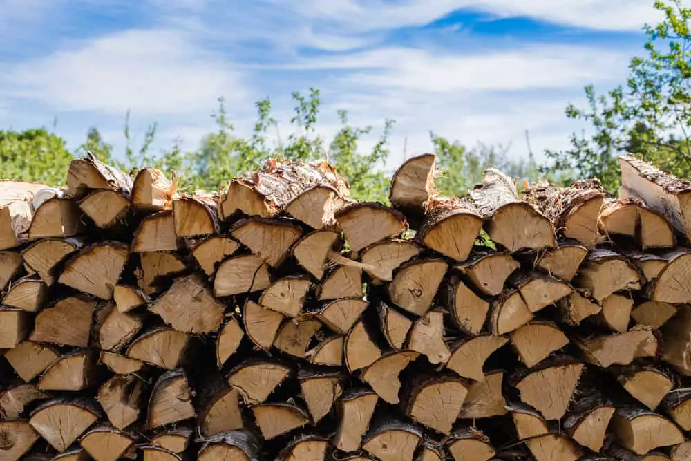 A large pile of chopped wood organized but not on one of the best firewood racks with covers.