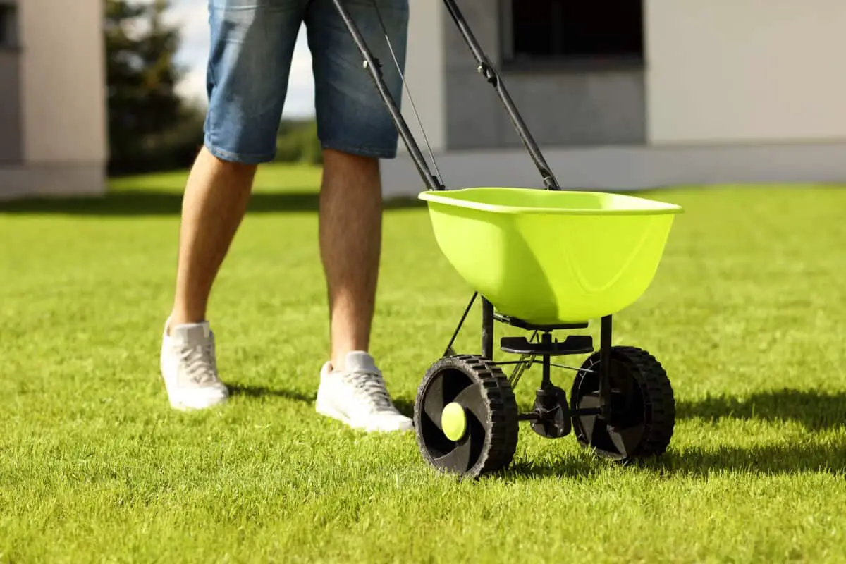 how-to-get-the-perfect-lawn-growing-grass-lawn-lawn-care