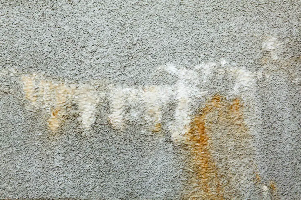 How To Remove Black Walnut Stains From Concrete