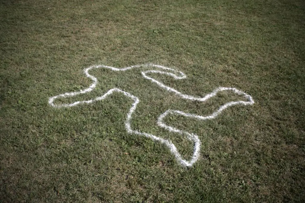 Picture of dead grass and a chalk outline of body on the dead grass.  Did bleach harm your grass?