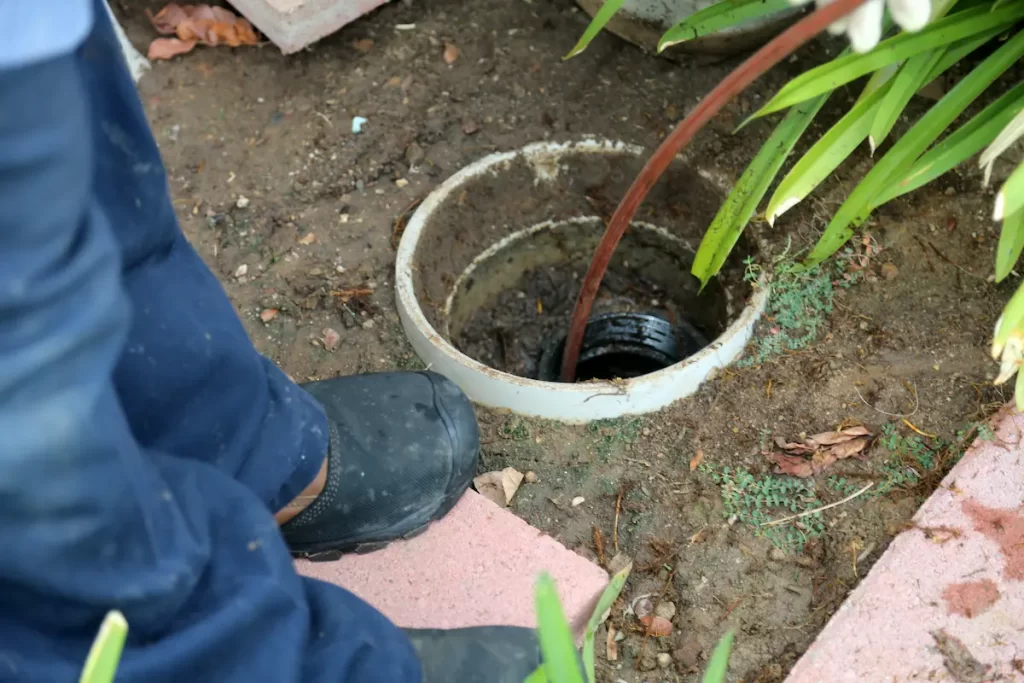 Plumber in backyard cleaning sewer line from tree root blockage