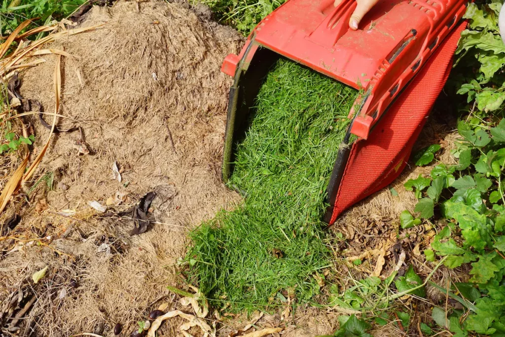 grass clippings being used as mulch